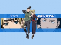 Shikamaru e Temari